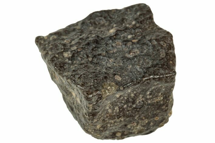 Abadla CM Chondrite Meteorite ( g) - Algeria #313030
